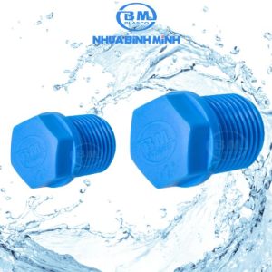 Nắp khóa ren ngoài PPR