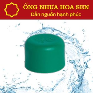 Bịt PPR Hoa Sen