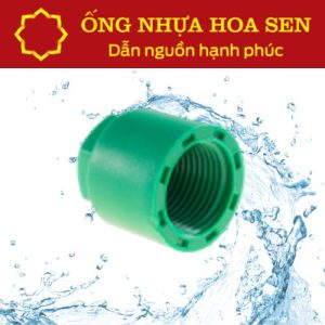Bịt ren trong PPR Hoa Sen