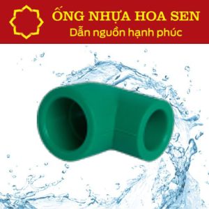 Co giảm PPR Hoa Sen