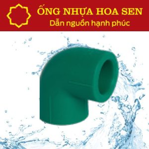 Co PPR Hoa Sen