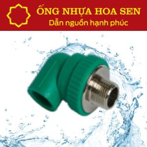 Co ren ngoài PPR Hoa Sen