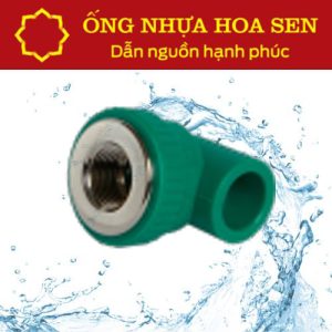 Co ren trong PPR Hoa Sen