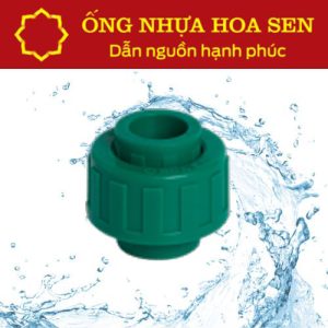 Racco PPR Hoa Sen