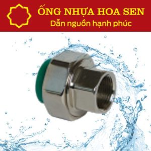 Racco ren trong PPR Hoa Sen