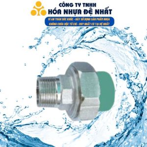 Racco ren ngoài PPR Đệ Nhất