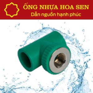 Tê ren trong PPR Hoa Sen