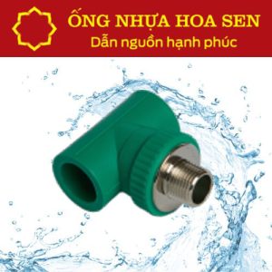Tê ren ngoài PPR Hoa Sen