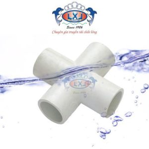 Co chữ thập LXL
