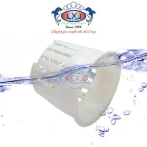 Ly thủy canh LXL
