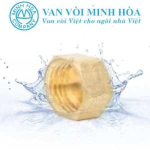 Nút bịch đồng ren trong