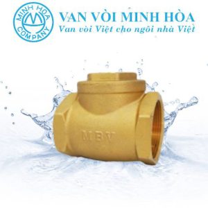Van 1 chiều lá lật MBV PN10