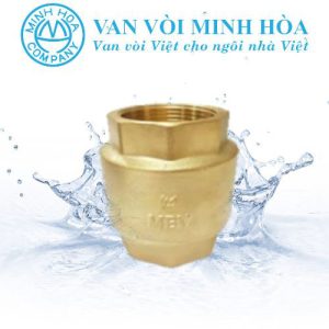 Van 1 chiều lò xo MBV PN10