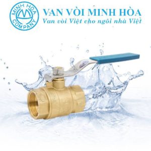 Van bi đồng tay gạt MBV PN10