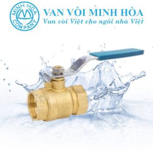 Van bi đồng tay gạt Mi PN10