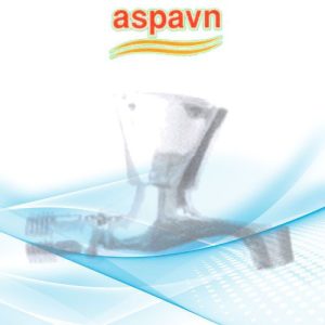 Vòi hồ HG04 Aspavn