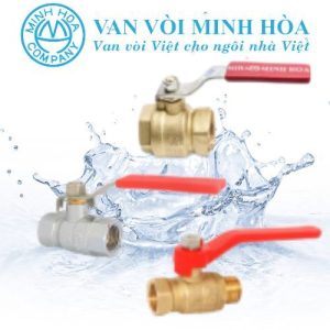 Van bi đồng tay gạt